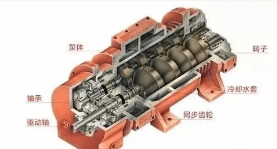 螺杆式真空泵主要结构